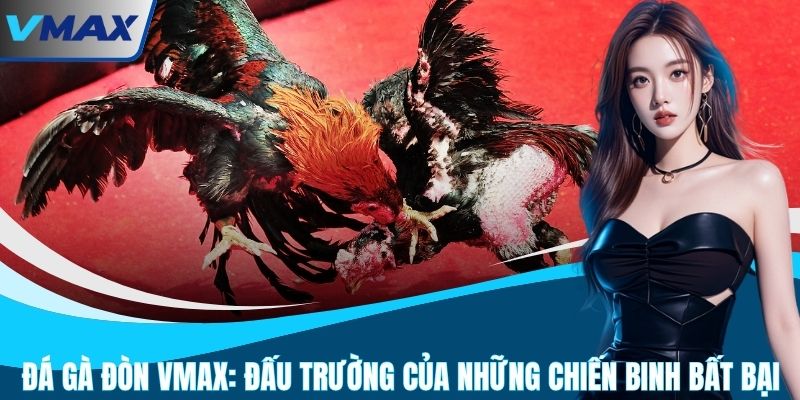 Đá Gà Đòn VMAX: Đấu Trường Của Những Chiến Binh Bất Bại
