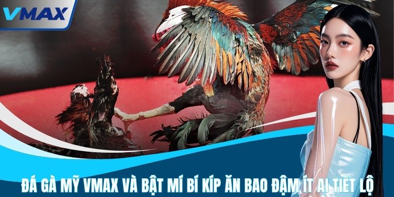 Đá Gà Mỹ VMAX Và Bật Mí Bí Kíp Ăn Bao Đậm Ít Ai Tiết Lộ