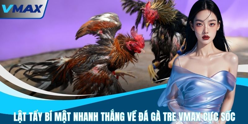 Lật Tẩy Bí Mật Nhanh Thắng Về Đá Gà Tre VMAX Cực Sốc