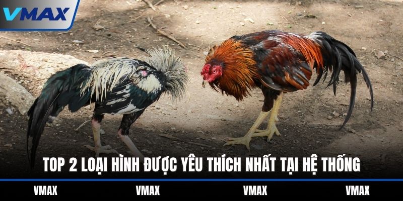Top 2 loại hình được yêu thích nhất tại hệ thống 